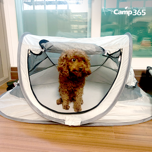 캠프365 반려동물 하우스, 강아지집, 애견텐트, 개텐트, 고양이집, 반려동물텐트, 원터치 텐트, 강아지 텐트, 고양이 텐트, 애견침대 - 상세 이미지 4