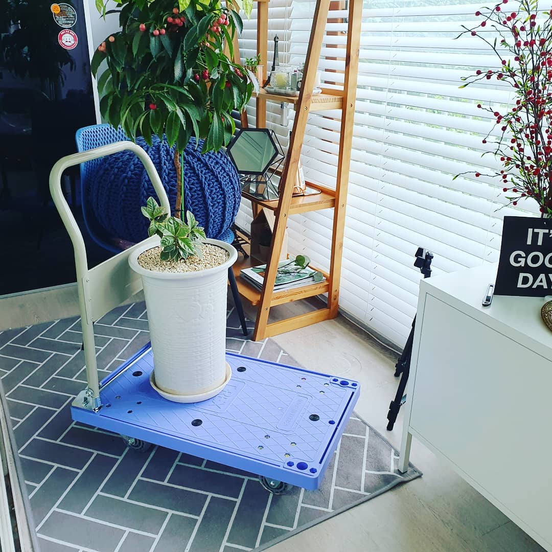 티렉스 카트 대차 구루마 구르마 끌차 접이식 핸드카 공룡시즌2핸들O소 회전형2고정형2