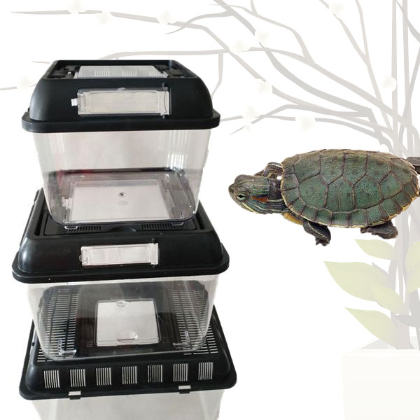 곤충채집통 Feeding Box 1호 튼튼한 파충류 소동물 사육통 어항 수조 피딩 곤충 햄스터 사육장 자연학습 관찰통 사슴벌레 장수풍뎅이 키우기 - 상세 이미지 2