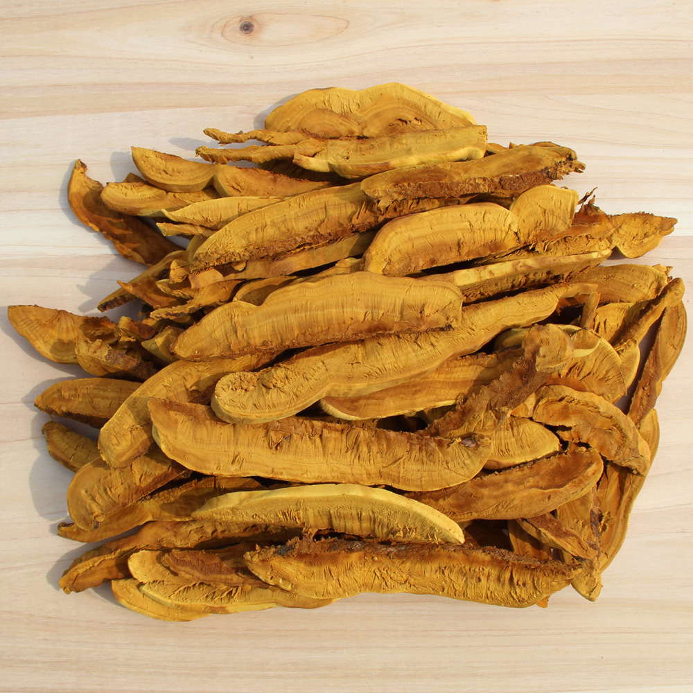 국내산 유기농 장수 상황버섯 특품 절편 100g (소포장) - 상품 이미지