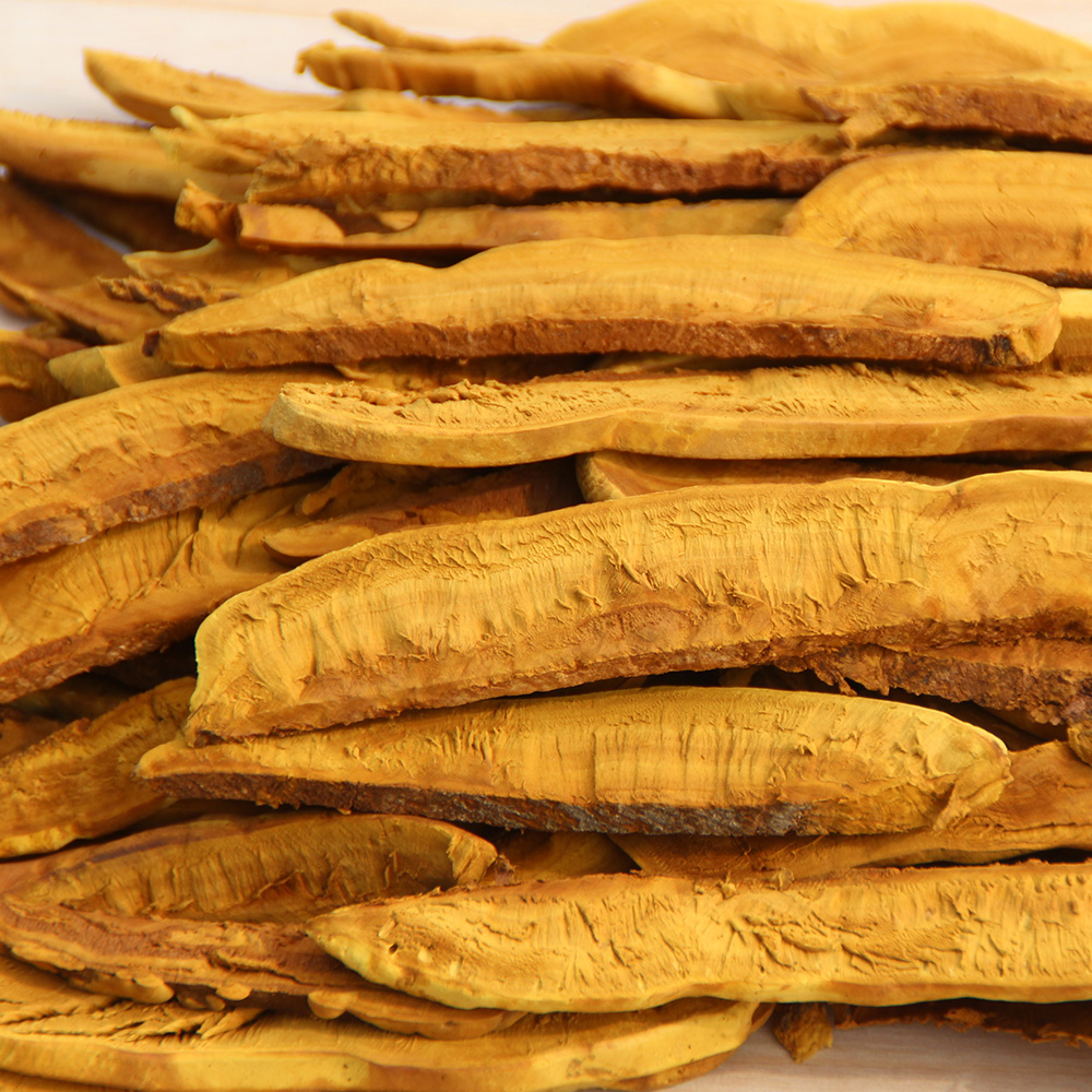 국내산 유기농 장수 상황버섯 특품 절편 100g (소포장) - 상세 이미지 3