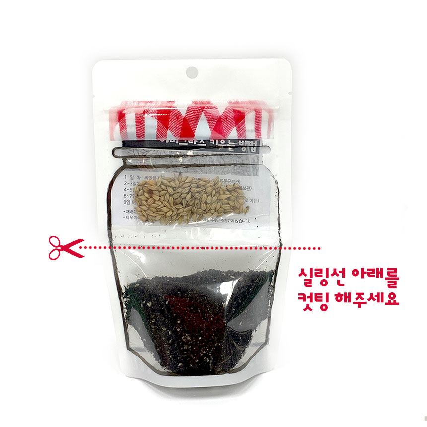 냥냥아지야미그라스재배기 캣그라스화분캣그라스재배기고양이풀 상세 이미지 11