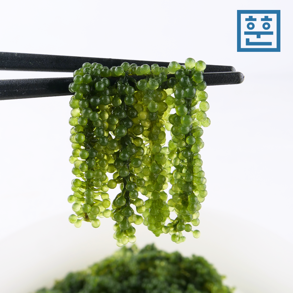 바다포도 (우미부도) 100g 이미지 3