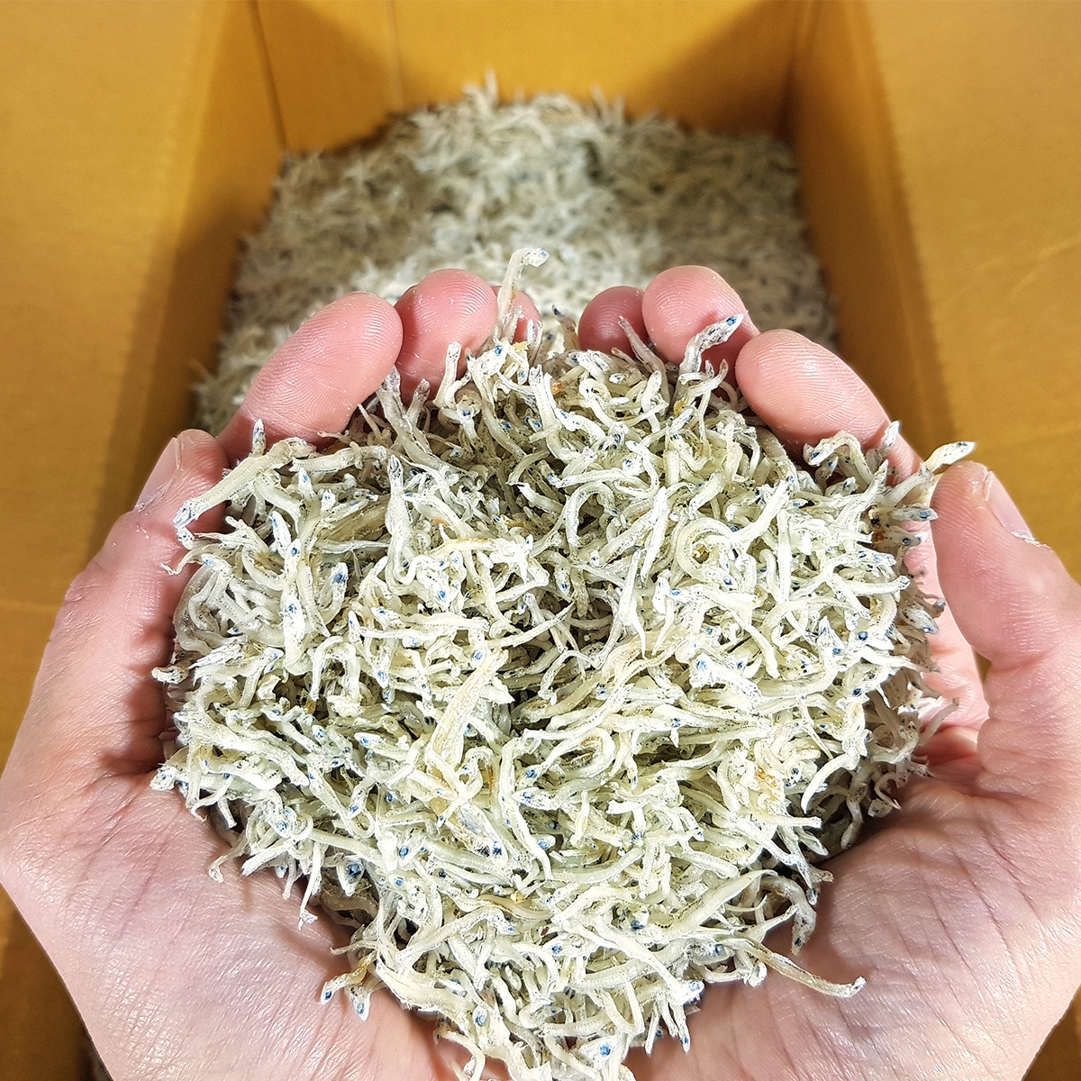 상급 아기 지리멸치 잔멸치 볶음멸치 세세멸 500g, 1개 - 상세 이미지 4