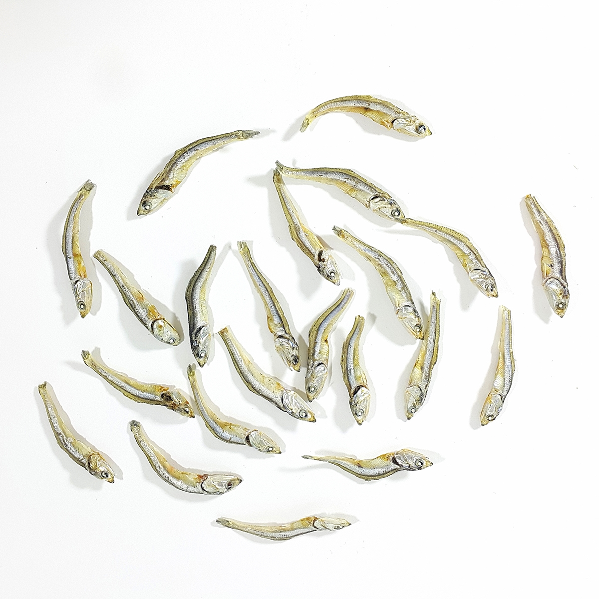 국내산 햇 고주바 고바멸치 중멸치 고추장 다시멸치 오사리 남해 500g, 1개 - 상세 이미지 2
