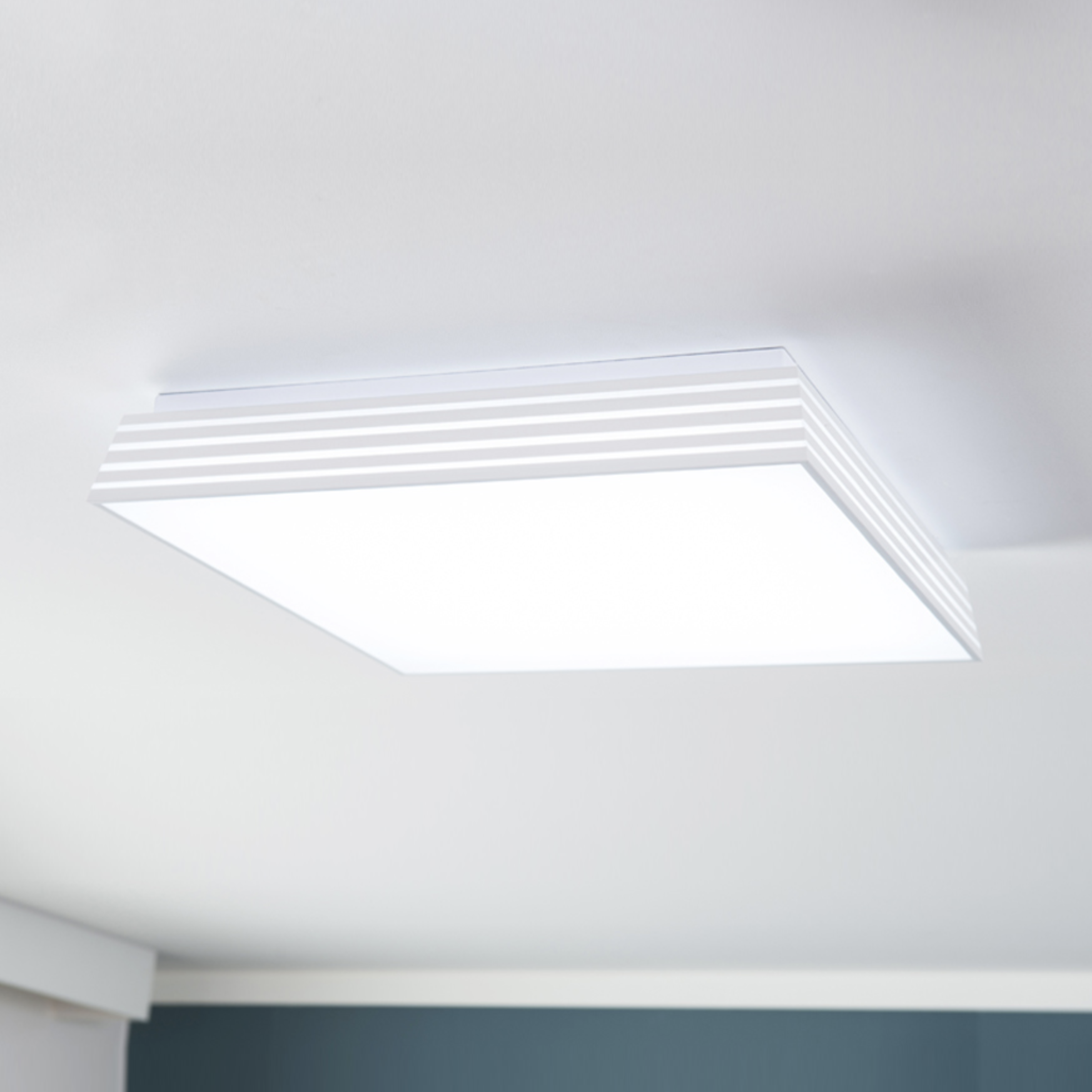 LED 방등 포라인 조명 50W - 상품 이미지