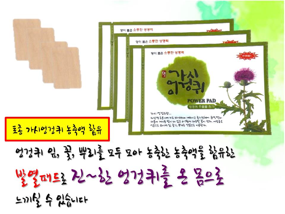 임실 가시엉겅퀴 패드 150매 발열파스 - 상세 이미지 2