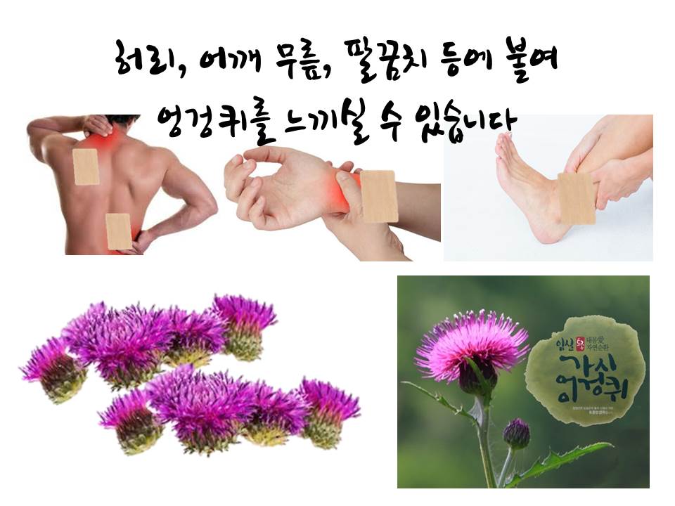 임실 가시엉겅퀴 패드 150매 발열파스 - 상세 이미지 3