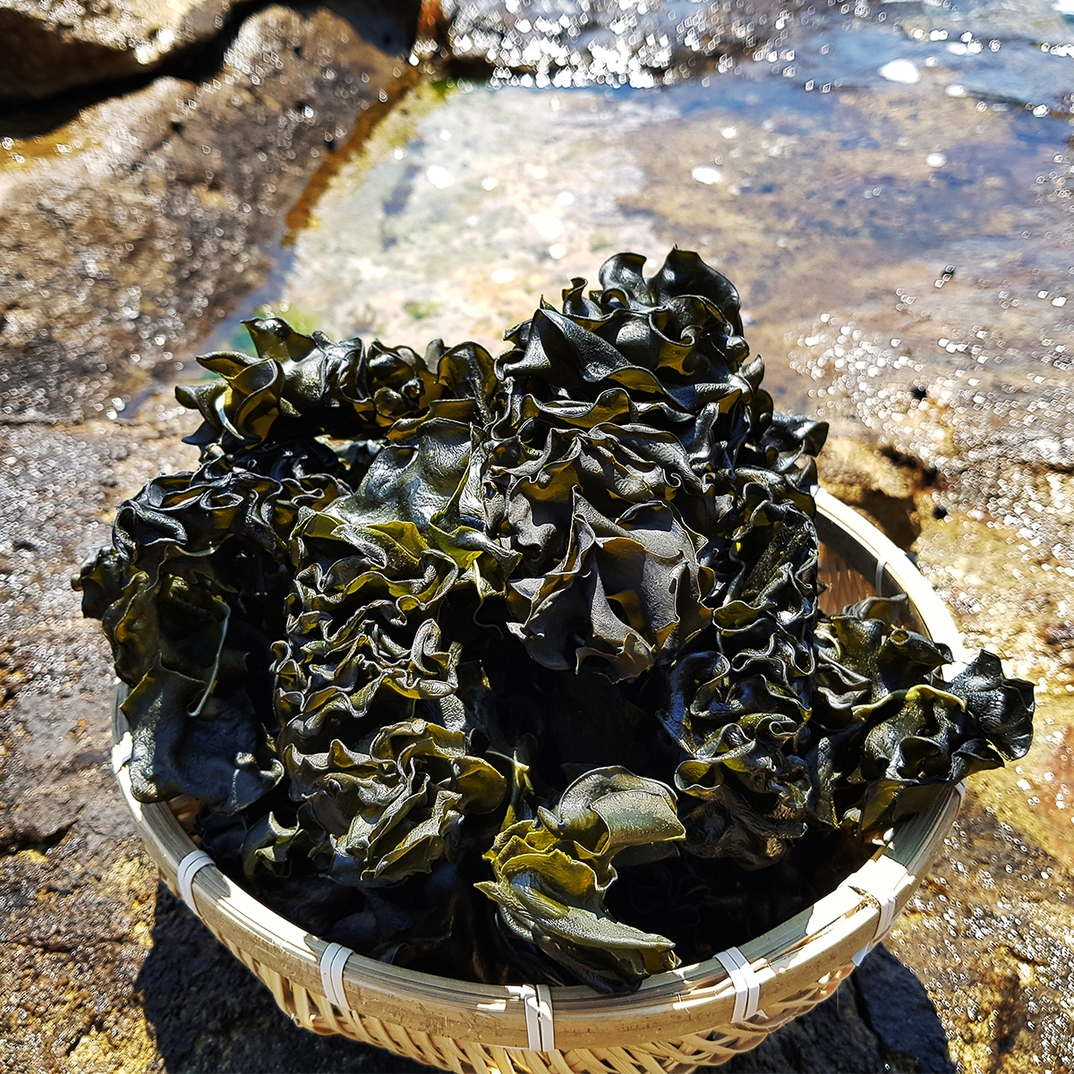 완도 미역귀 500g, 2개 - 상세 이미지 2