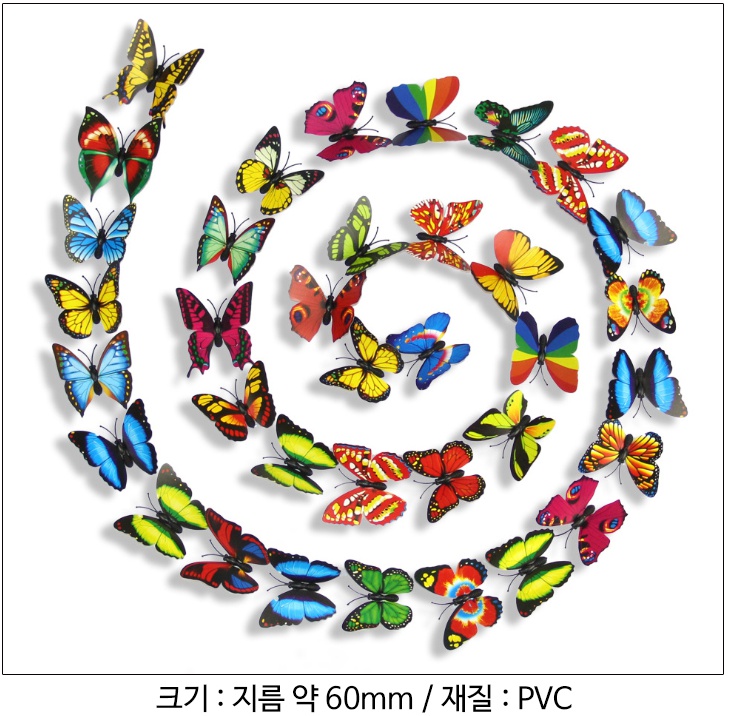 나비장식 인테리어 소품 벽꾸미기 장식용세트 10개 구정과학사 - 상세 이미지 3