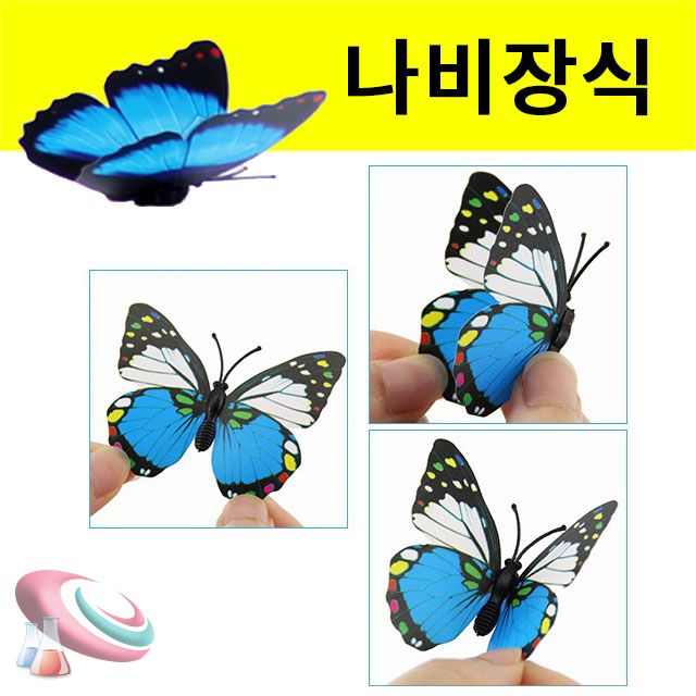 나비장식 인테리어 소품 벽꾸미기 장식용세트 10개 구정과학사 - 메인 이미지
