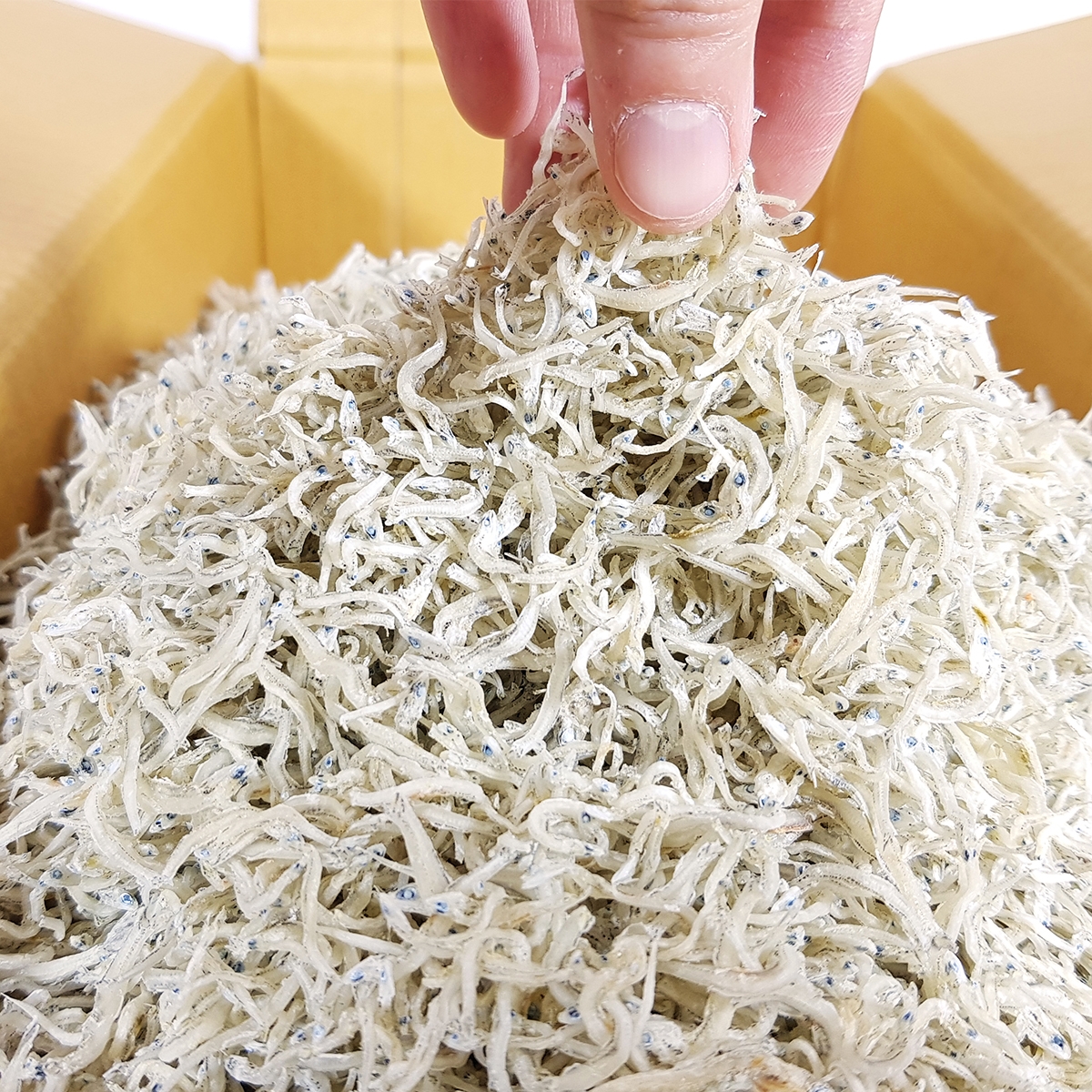 국내산 상급 지리멸치 세멸치(세세멸치) 잔멸치 1.5kg, 1개 - 상세 이미지 2