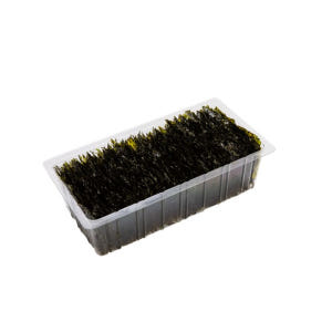 성경김 재래 식탁김 조미 도시락 맛있는 김 50g, 20개 맛있게 먹은 솔직 후기 - 상품 이미지 4