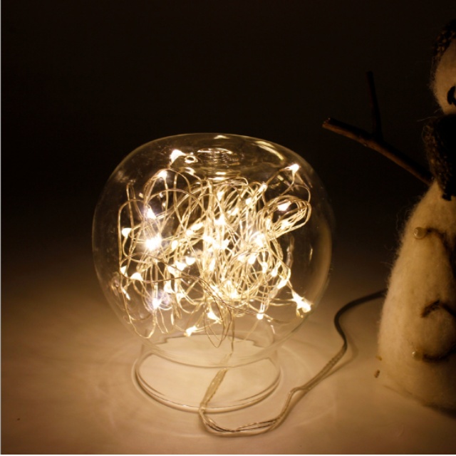 DDUNGK 와이어전구 led 무드등 트리조명 1m 10구 지네 줄조명 앵두 전구