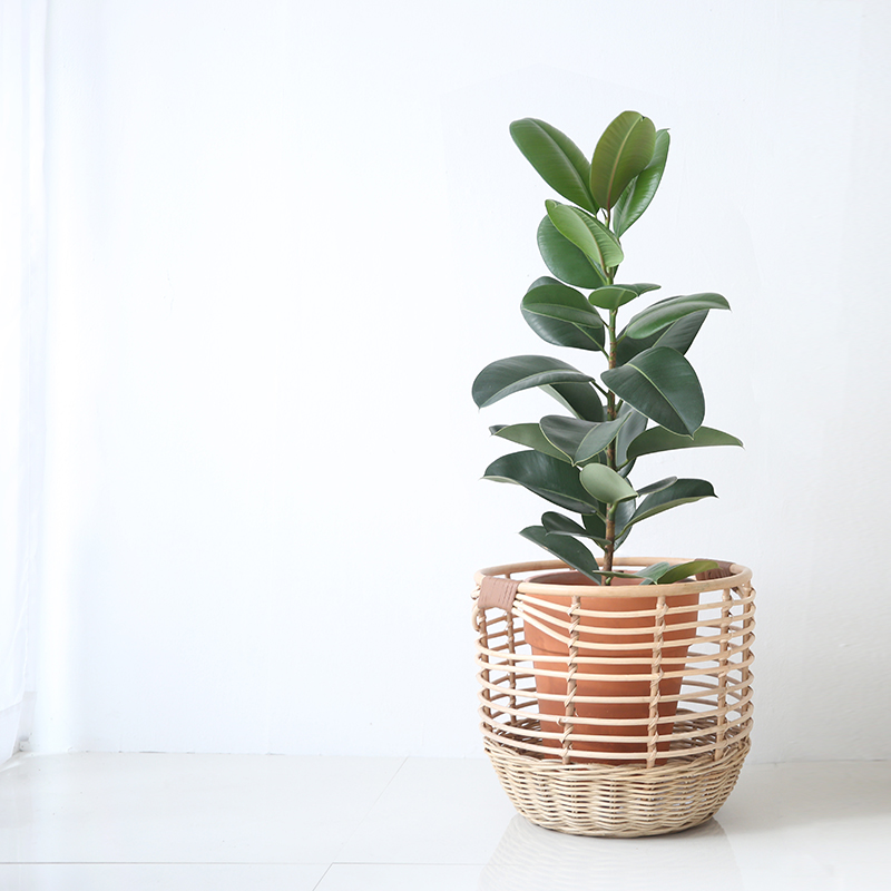 라탄바구니 가죽손잡이 수납 바스켓 정리 세탁 대형바구니 인형 빨래 담요
