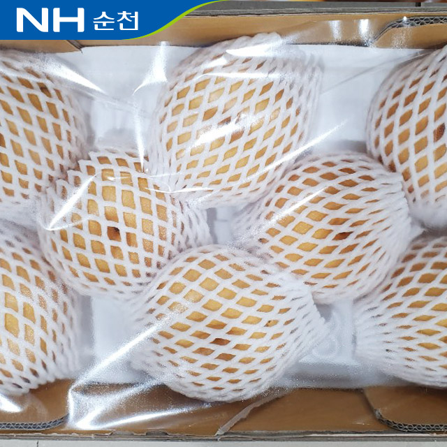 농협공동선별 실속형 순천배 5kg(6-9과) - 상세 이미지 3