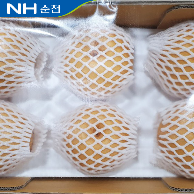 농협공동선별 실속형 순천배 5kg(6-9과) - 상품 이미지