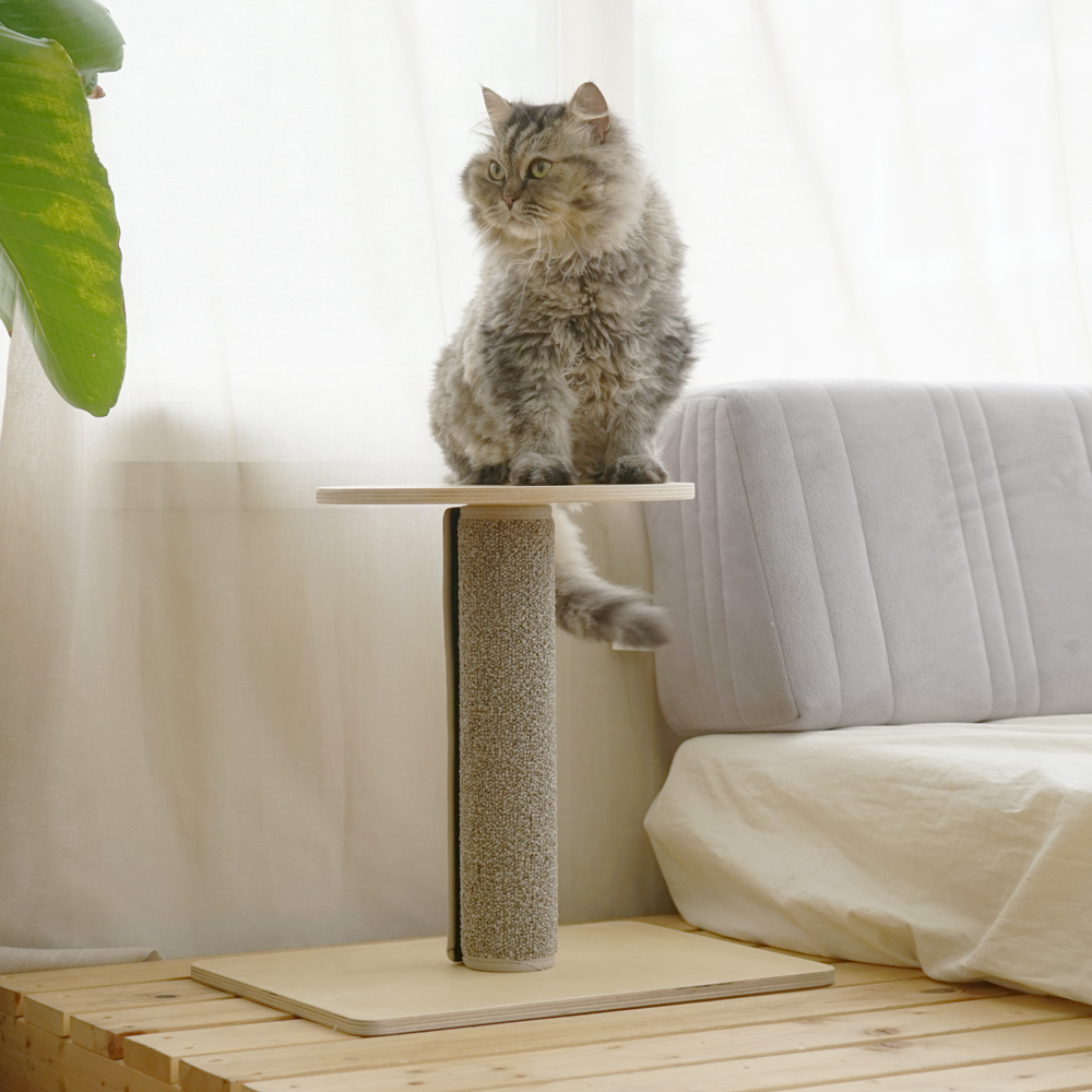 피타 고양이 스크래처 폴 1단