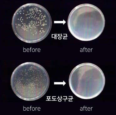 공기살균기 미니 공기청정기 원룸 펫 케어 소형 사무실 마미업