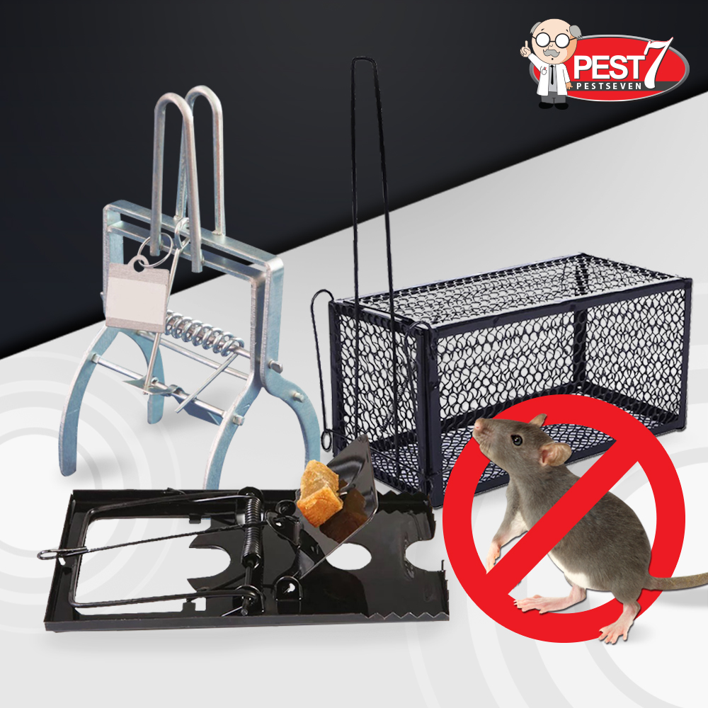 페스트세븐 쥐덫(그물망형) 두더지 덫 퇴치 약 쥐덧 쥐덪 쥐틀 쥐잡이 쥐약 쥐퇴치 트랩 쥐박멸 끈끈이 포획 퇴치기 이미지 2