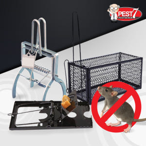 페스트세븐 쥐덫(그물망형) 두더지 덫 퇴치 약 쥐덧 쥐덪 쥐틀 쥐잡이 쥐... 솔직 후기 | 실제 사용자 리뷰 총정리 - 상품 이미지 2