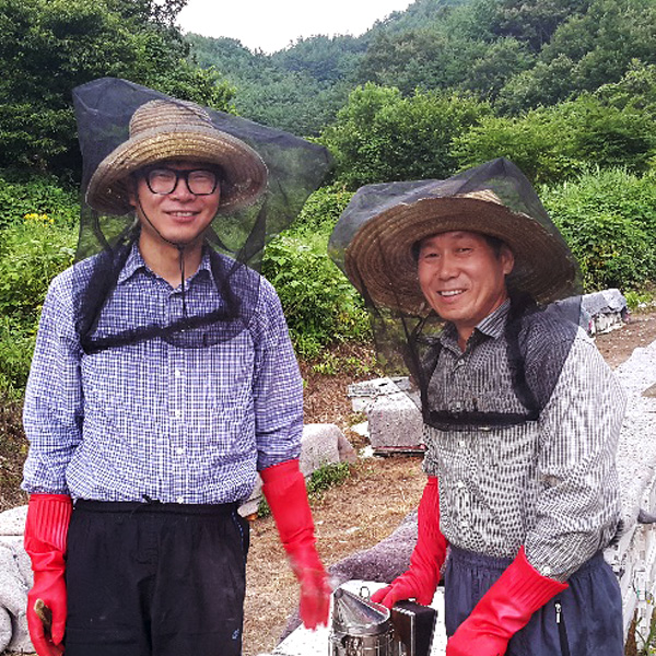 벌꿀 야생화꿀 600g - 상세 이미지 2
