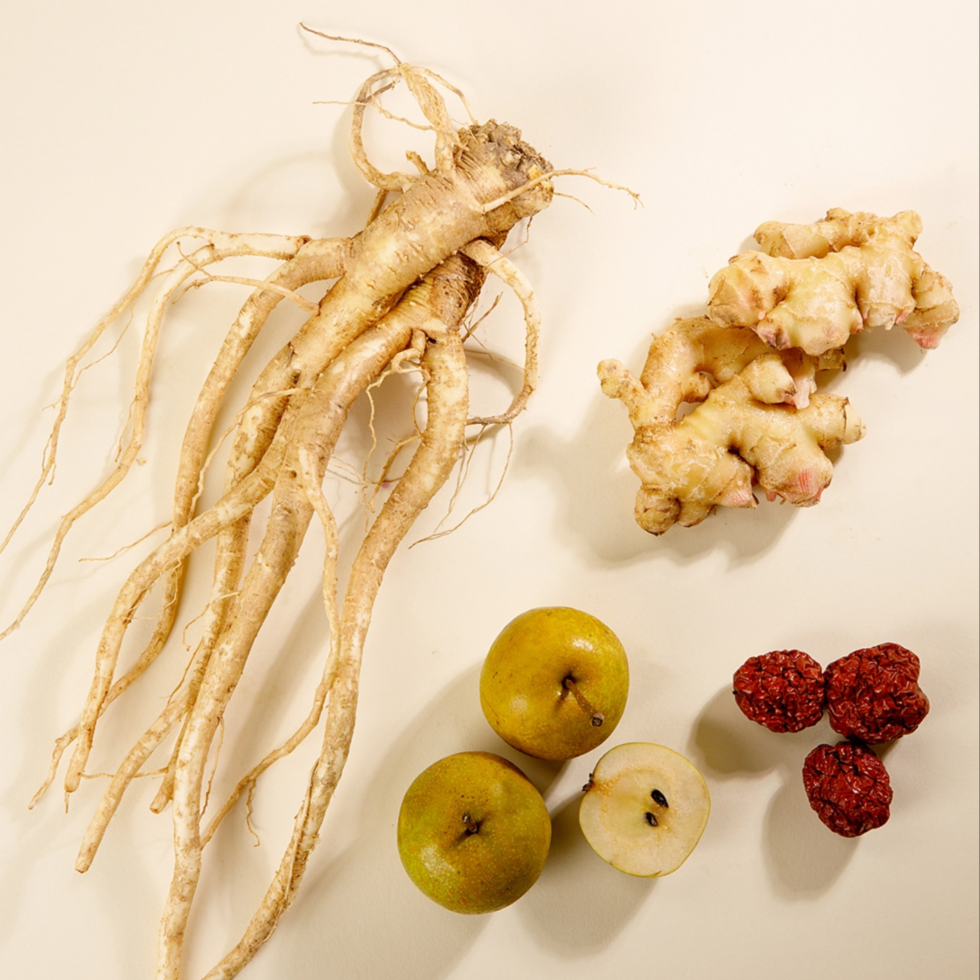 [배도라지대추생강청] 약돌배약도라지 카페 과일 수제청 감기예방 차 선물세트 답례품500g