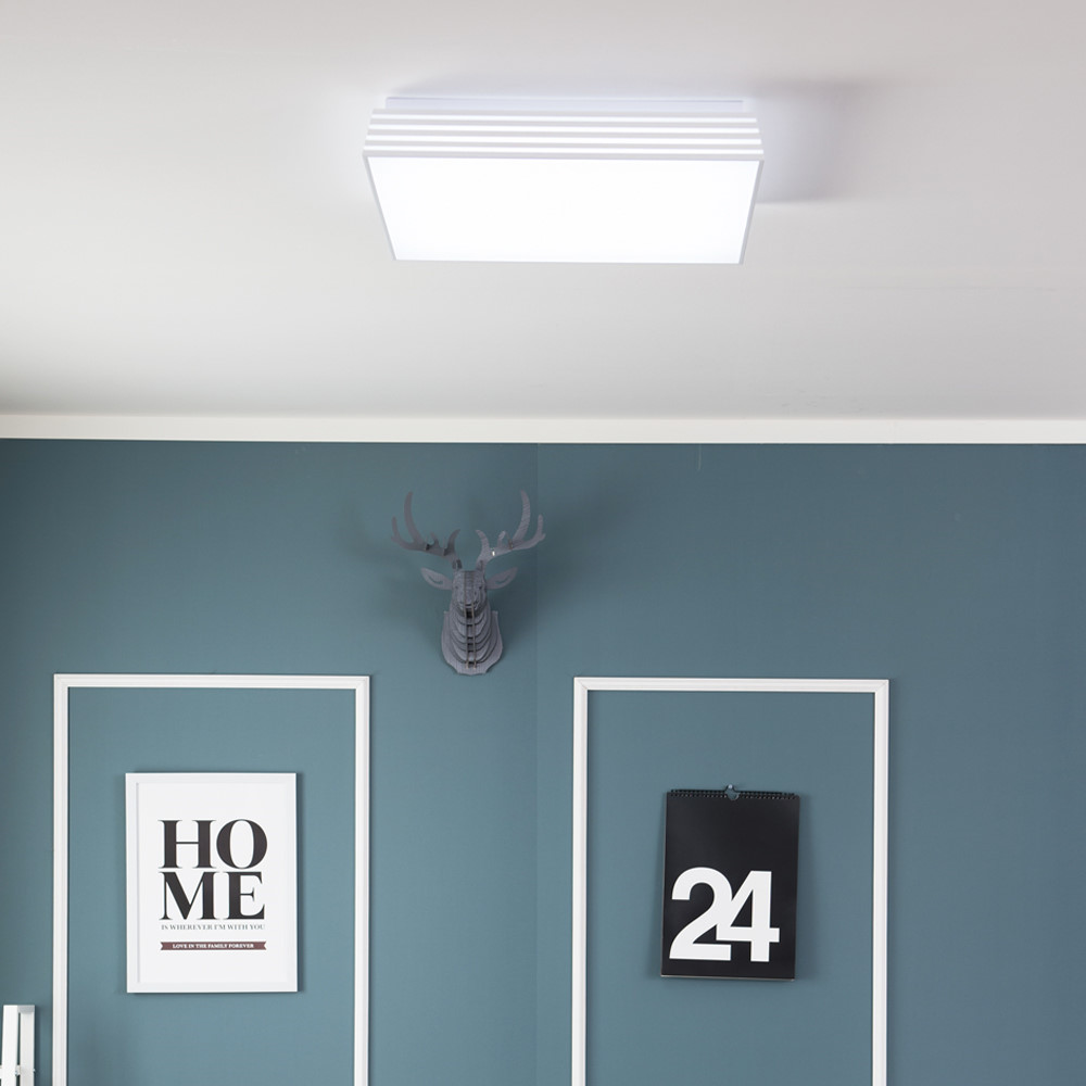 LED 방등 포라인 50W - 상품 이미지