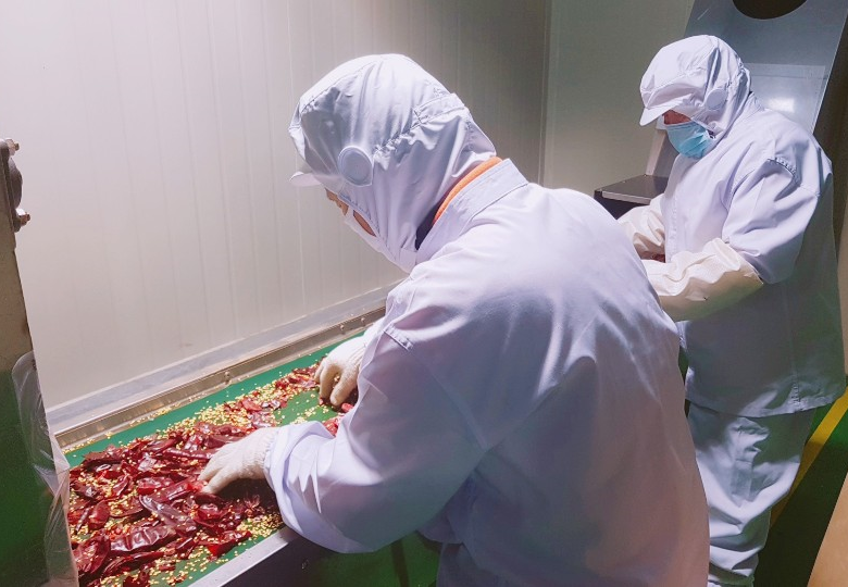 국산 고춧가루 500g 임실 햇 고운 굵은 고추가루 건고추 매운 안매운 상품 이미지