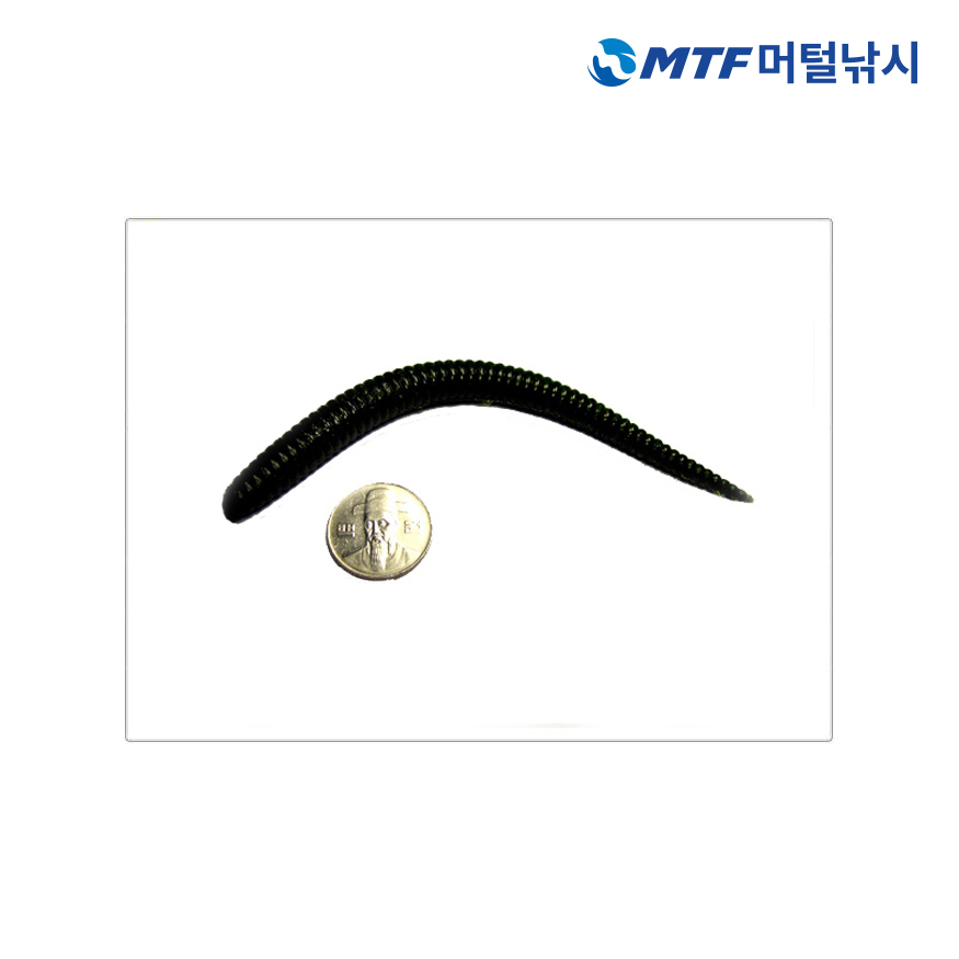 다미끼 스팅거 5.5인치 웜 소프트베이트 배스용 - 상세 이미지 3