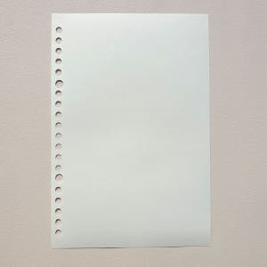 굿슈머 바인더노트 속지 60매 루즈리프  A5 속지 모눈 실사용 후기 | 효과 있을까? - 상품 이미지 2