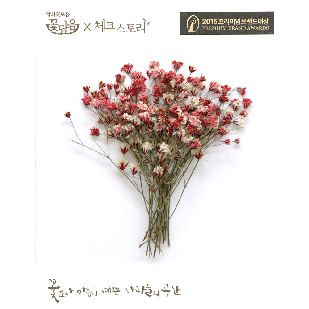 체크스토리 압화 압화꽃 누름꽃 안개꽃줄기 - 레드(20개) - 상품 이미지