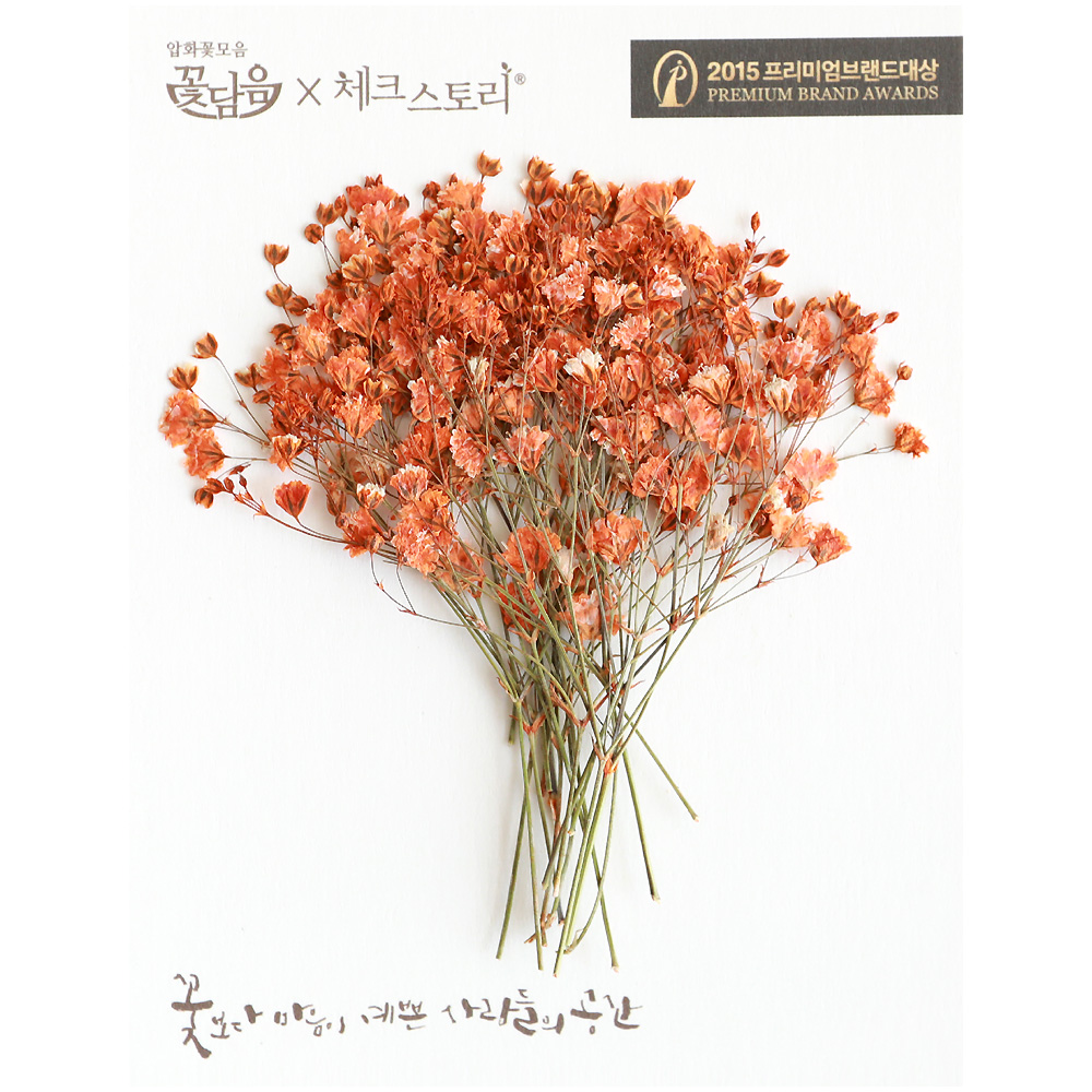 줄기꽃 압화 안개꽃줄기 - 오렌지(20개) - 상품 이미지