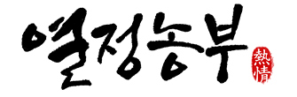 초당옥수수 미백 찰옥수수 흑찰옥수수 햇 옥수수 생 찰옥수수