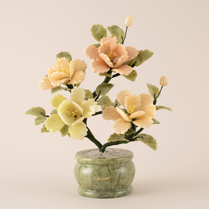 아토제이드 천연 옥꽃 피오니 4송이 믹스 / 옥화 개업화분 승진선물 승진... 실사용 후기 | 효과 있을까? - 대표 이미지