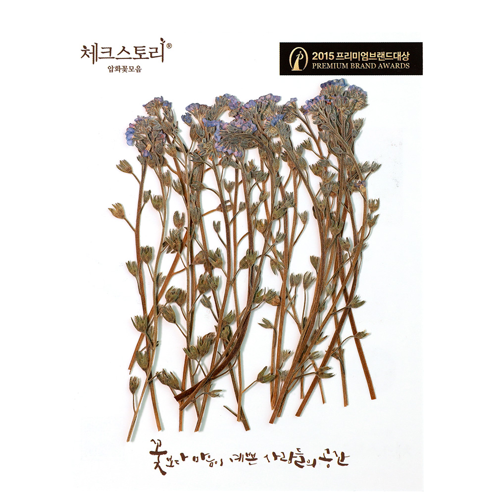 [압화/줄기꽃]물망초줄기-블루(20개) - 상품 이미지