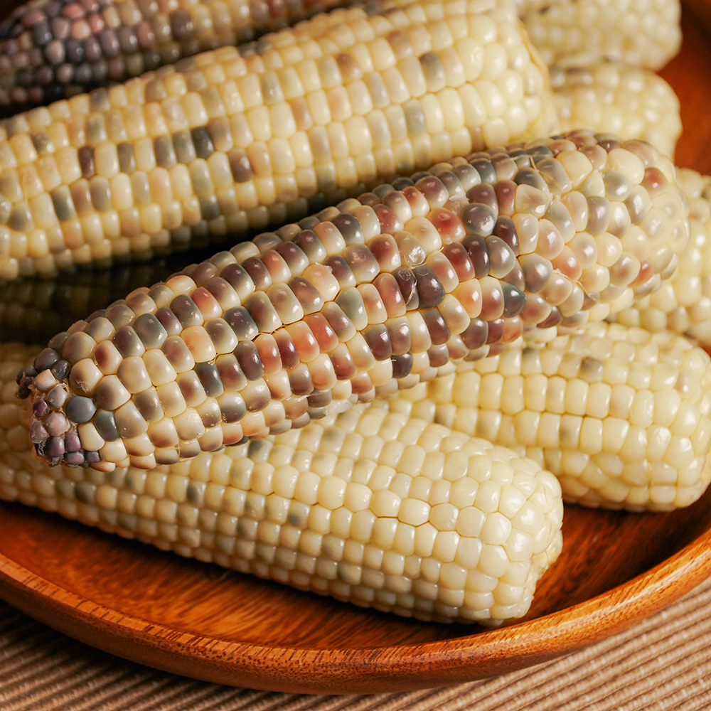 구하기 힘든 유기농 강원도 횡성 흑찰옥수수 찐찰 냉동찰옥수수 맛있는 찐옥수수