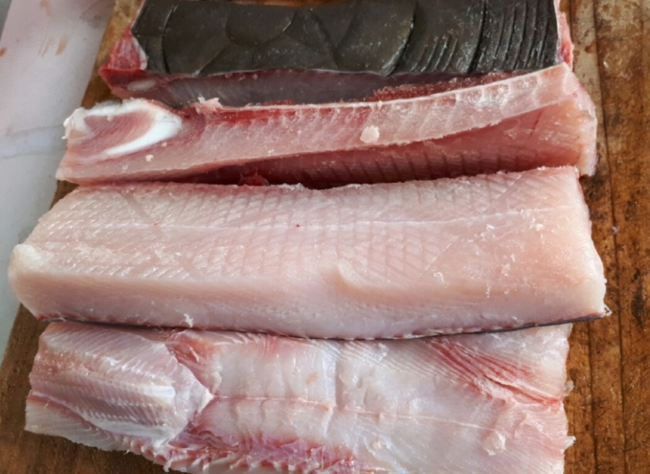 말린상어포 건상어포 500g 상어육포 조미않된상어포 - 상세 이미지 2
