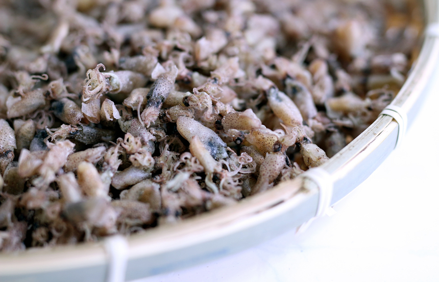 완도맘 꼴뚜기 마른꼴뚜기 300g 아이반찬 술안주 - 상세 이미지 5