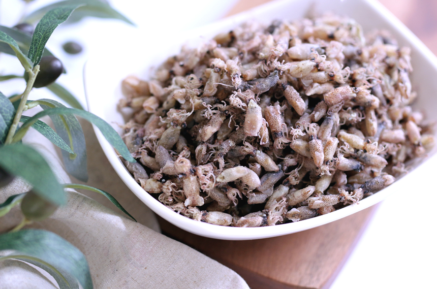 완도맘 꼴뚜기 마른꼴뚜기 300g 아이반찬 술안주 - 상세 이미지 3