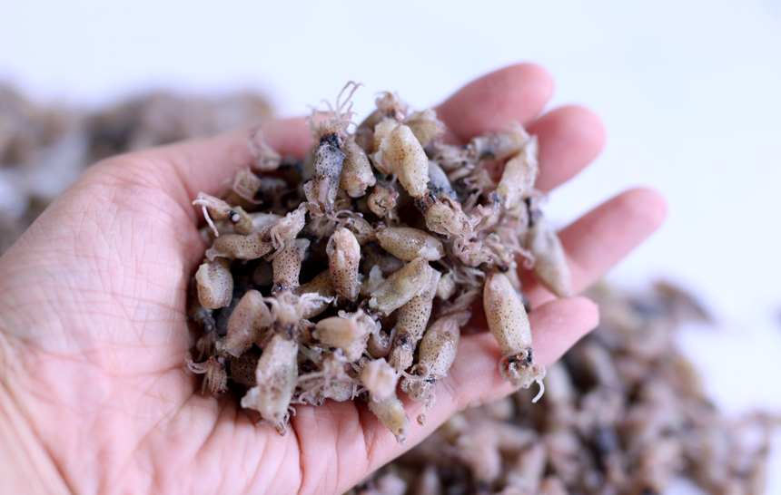 완도맘 꼴뚜기 마른꼴뚜기 300g 아이반찬 술안주 - 상세 이미지 2