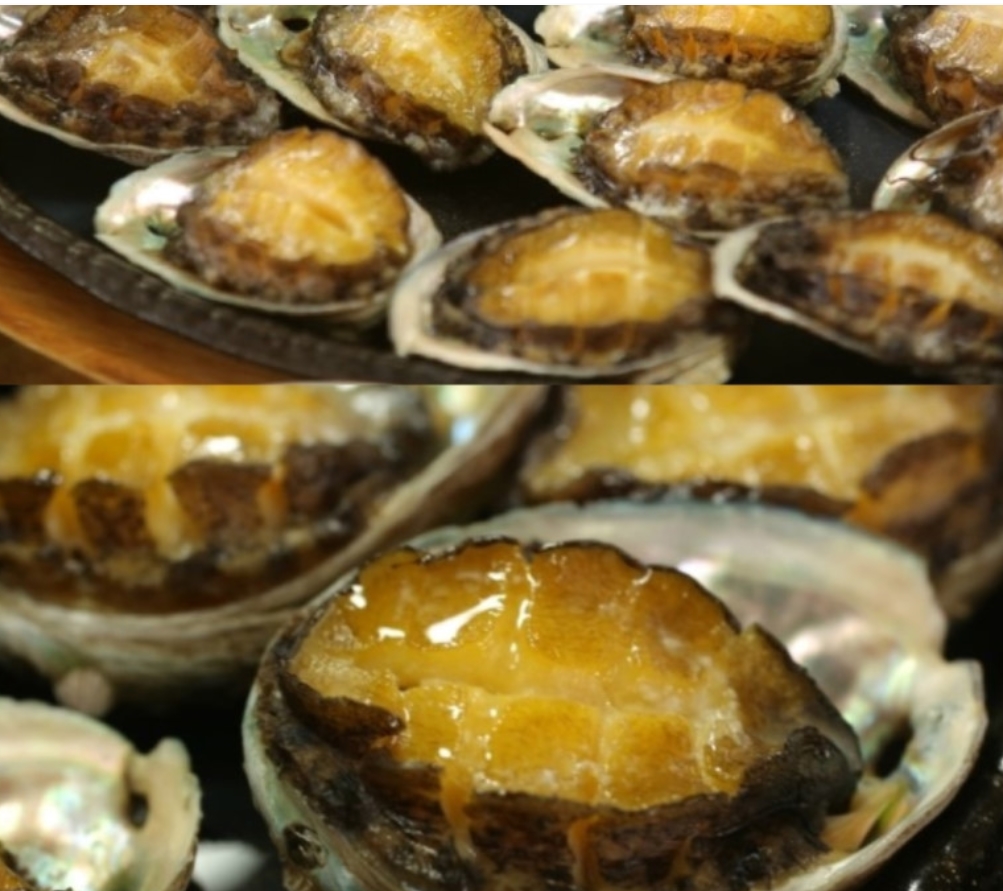 참전복 활전복1kg (16-18마리) 완도전복 선물용전복 살아있는전복 책임배송 - 상세 이미지 2