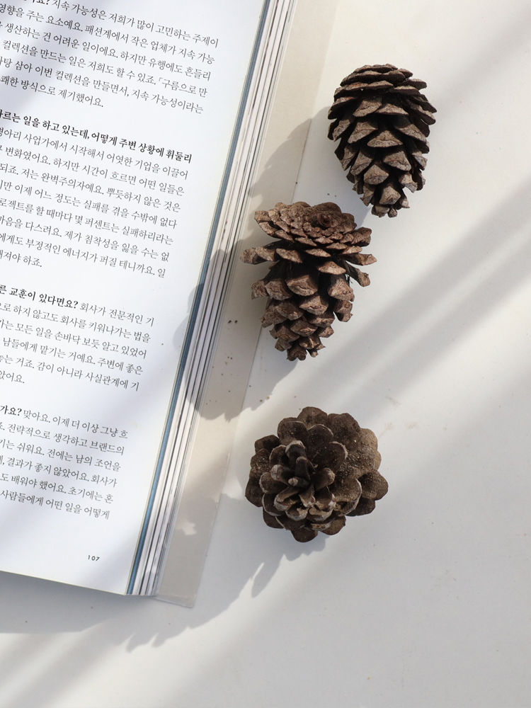솔방울 천연가습기 - 상품 이미지