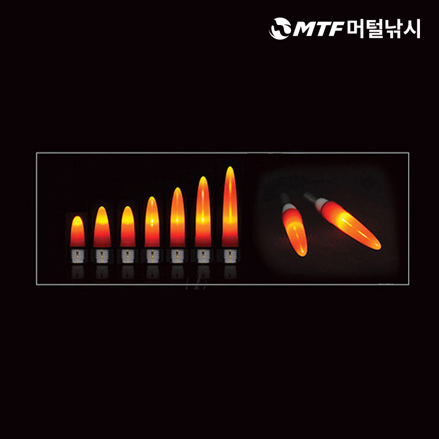 아크 루젝스 바다낚시 전자 막대찌 - 상세 이미지 3