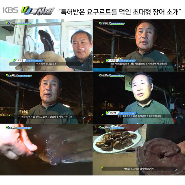 강복자 장어 즙 60ml 30포 국산 민물장어 진액 액기스 엑기스 선물 이미지 4