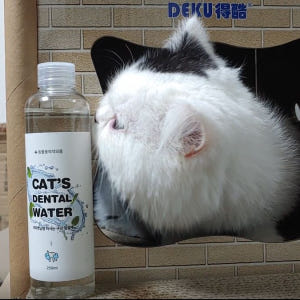 정글몬스터 마시는 고양이 치약 캣 덴탈워터 250ml, 2개 솔직 후기 | 실제 사용자 리뷰 총정리 - 상품 이미지 3
