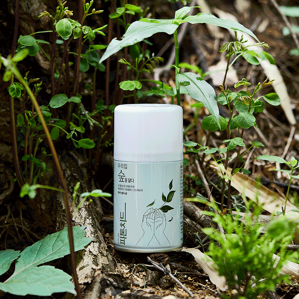 셀프 새집증후군 제거 페인트 새집 새가구 냄새 제거 베이크아웃 방법 원터치 피톤치드 스프레이 220ml(170g)