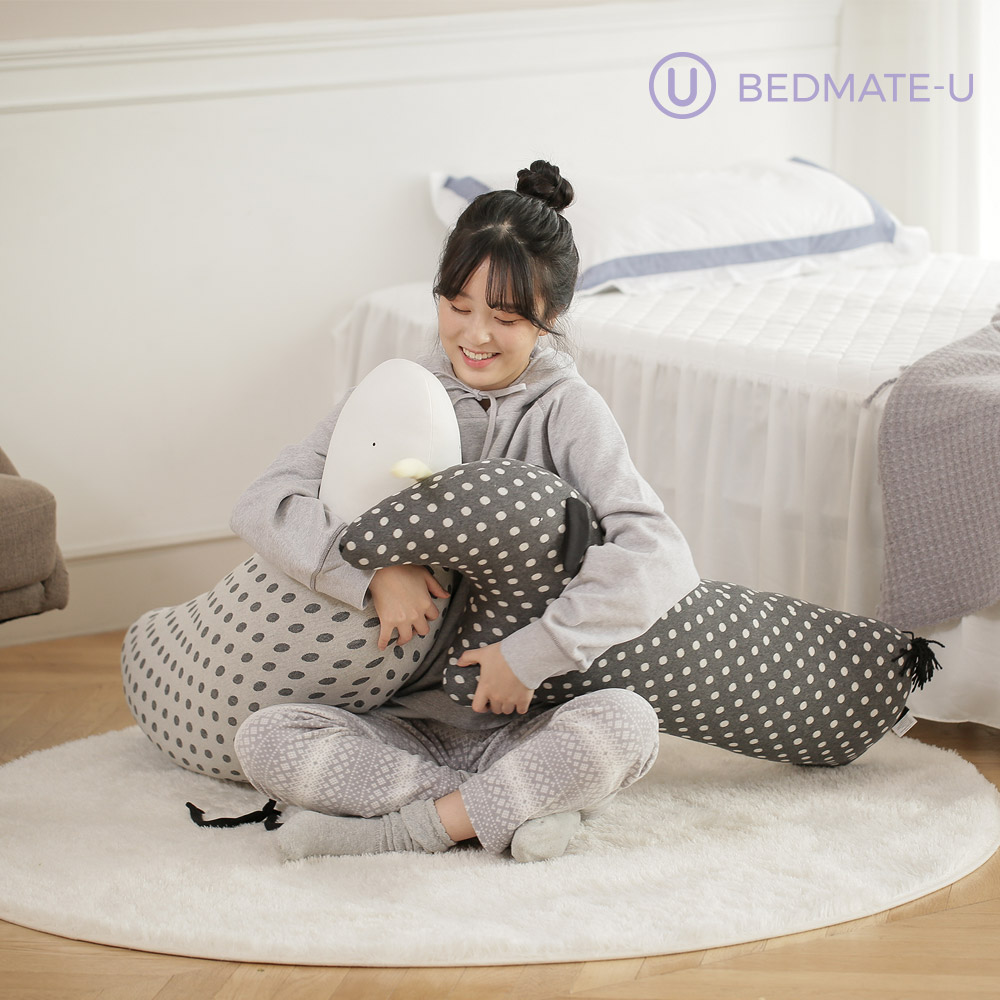 애착 인형 바디필로우 피피새 닥스훈트 - 상세 이미지 2