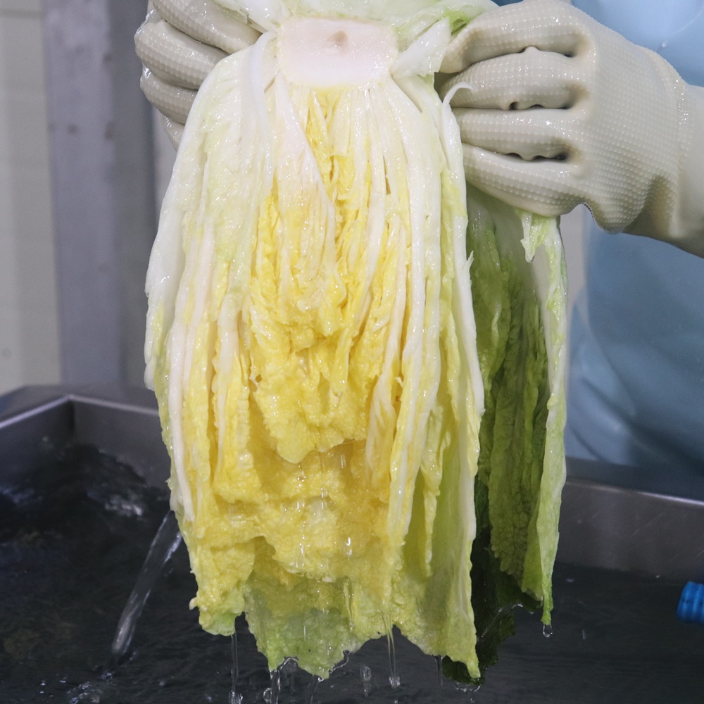 괴산절임배추 명품 고랭지 고냉지 김장 충북 절인배추 20kg - 상세 이미지 2
