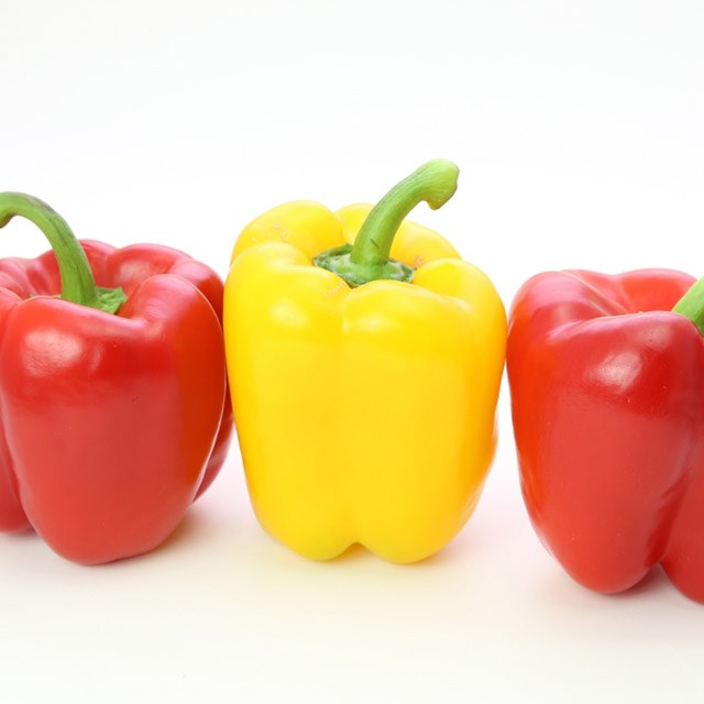 노랑 빨강혼합 실속형 파프리카 3kg